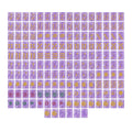 Amethyst Observatory Mahjong Set